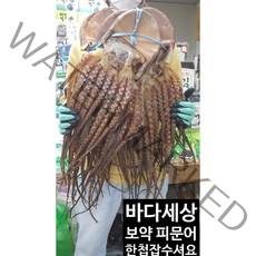 말린문어/ 피문어/마른문어/건문어 - 자연산 보약 피문어 특대 대 중 소, 말린문어 대
