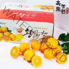 [흑토농원] 제주 황금향 가정용 벌크박스 / 선물용 선물세트 2kg 3kg 5kg, 황금향 선물세트 3kg (대과/7-12과)