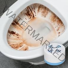 블루포인트 초강력 자동 변기 세정제 150g, 2개