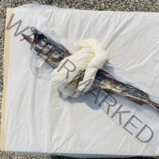 새차 신차 세트 용 개업 고사 자동 중고 차 통북어 삼재 저렴한 실속형 알뜰 선물 품 상, 기본형(통북어+명주실)