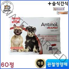 안티놀 60정 / 안티놀 래피드 60정 / 천연 성분 / 관절영양제 / 동물병원 전용 정품 / 강아지 고양이 겸용 + 동물병원 전용 습식 간식