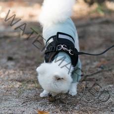 지앤비 미즈펫 야간 빛 반사 세이프 강아지 하네스 + 리드줄, 블랙