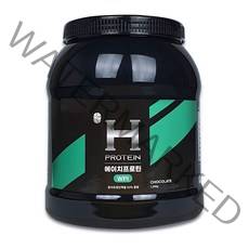 오늘의바디 에이치 프로틴 WPI 초코맛, 1개