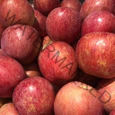 첫 출하 빨간 홍로 가정용 한입 햇 사과 5KG (무조건 당일 발송), (24~30과)