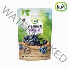 [뉴뜨레] 냉동 블루베리홀 1kg, 3개, 1