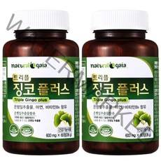 위드헬스 은행잎추출물 은행엽엑스 징코 기억력 혈행 혈액순환 개선 영양제 징코 플러스 2병 4개월분, 600mg x60정x2병