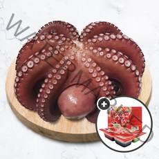 항구의남자들 제수용 자연산 자숙문어 돌문어 활문어 데친 문어 삼둥이초장 증정, 자숙문어 1kg(1~3미)+삼둥이초장