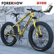 산악 MTB 자전거 광폭타이어 팻바이크 30단 자출용 자전거 공구포함, 실버, 21단(공구포함), 20인치