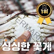 새벽조업 제철 가을 활 숫꽃게 빙장포장 1kg 외, 3.가을 빙장 활 숫꽃게 중 5kg(20~30미)