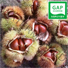 하동참다래매실농원 22년 햇밤 알밤, 1box, 2kg 대