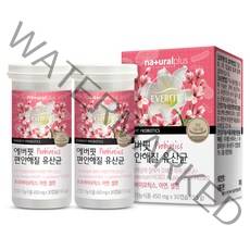 내츄럴플러스 에버핏 편안해질 유산균, 30정, 2개