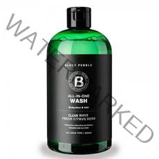 블랙페블 올인원 쿨링 클린 웨이브 남성청결제1143808 20, 500ml x 1개1143808 20