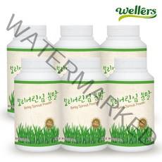 웰러스 새싹보리(보리어린잎) 분말 200g, 6병