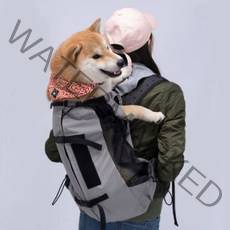 강아지 포대기 대형견 배낭형 이동가방 백팩 애견 앞가방, 기본형, 블랙