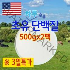 The큰나무 미국 초유단백질 분말 초유결정체 분말 초유단백질프로틴 초유 결정체 분말 초유파우더 뼈엔 엠비피 mbp 가루 락토페린, 2팩, 500g