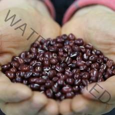 시골맛 팥물, 50팩, 115ml