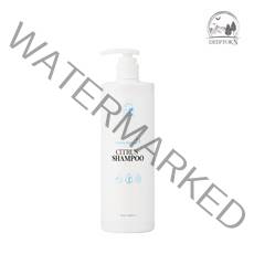 딥톡엔 힐링 헤어로스 시트러스 탈모 샴푸, 6개, 500ml