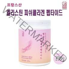 먹는 엘라스틴 가루 데스 모신 이소 저분자 피쉬콜라겐 펩타이드 히알루론산 탄성단백질, 1개, 280g