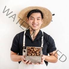 2022년 햇 밤 특A급 명품 청년약단밤 [군밤 칼집 약단밤], [2022] 칼집 약단밤 1kg+1kg 특가할인