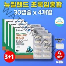 코스트코 초록입 그린 홍합 오일 초롱잎 초롱이 푸른 홍합 추출물 GREENLIPPED 운동 뼈 고관절 무릎 30대 40대 50대 60대 70대 노인 남성 남자 영양제, 4박스