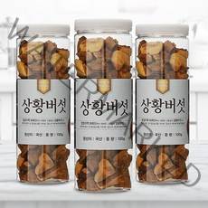 [채움팜] 국산100% 장수 상황버섯 1개월분(baumii 최상품) 1개월분, 일반포장