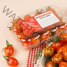 스테비아 방울토마토 토망고 토마토 500g x 2팩 (총 1kg)