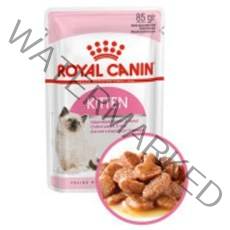 로얄캐닌 키튼 인스팅티브 젤리 파우치 습식사료, 85g, 12개