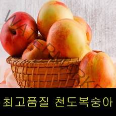 고씨네 프리미엄 천도복숭아3kg 천도복숭아효능 천도, 상세페이지 참조, free
