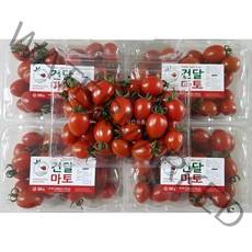 마음농산 산지직송 프리미엄 선별후발송 초고당도 스테비아 토마토 건달마토 샤인마토 단마토 1Kg 2Kg, 스테비아토마토 총2Kg ( 500gx4팩 )