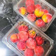 와촌자두 5kg/2kg 경북 일대 김천 의성자두 도담 추희자두 산지직송 국산 노지자두, 와촌 노지자두 5kg(중과 이상)