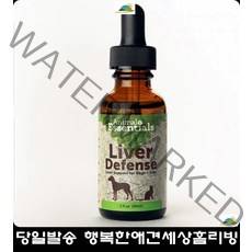 반려견사료 강아지잘먹는사료 어린강아지사료 강아지살찌는사료 도베르만사료 3개월강아지