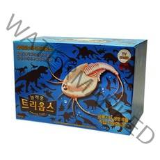 [천삼백케이] [플레이네이쳐] 놀라운 트리옵스 사육세트(프리미엄)