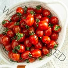 [요리하는남자들] 국내산 새콤달콤 대추 방울토마토 도마도 3kg 5kg 아이들 영양간식 칵테일 컬러 토마토 유기통 오색방울토마토, 대추 방울토마토 2kg (4-5번)