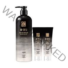 [흑갈색] LG 리엔 물들임 새치커버 샴푸 450ML 1개+ 샴푸 80ML 2개, 단품