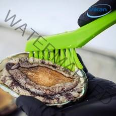 바이칸 전복솔 꽃게 해산물 야채 세척브러쉬 주방틈새청소솔, 전복브러쉬