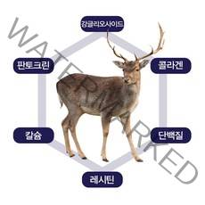 녹용진액(70ml x 30포) 뉴질랜드산 녹용혼합 추출액 90% 산삼배양근 함유