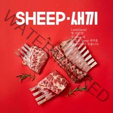 (당일배송) 양고기 양갈비 통원육 (3개월 6개월 숄더랙 프렌치랙) -SHEEP새끼 양갈비프렌치랙 숄더렉 양고기원육 캠핑양갈비 토마호크 (소스4종무료), 6개월숄더랙, 1팩