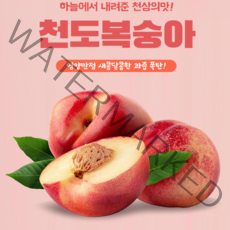 딱딱한 복숭아 돌복숭아 천도 복숭아 1kg 2kg 3kg