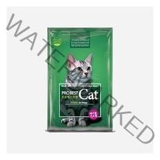 프로베스트 캣 20kg NEW