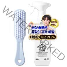무로 락클리너 곰팡이스프레이 750ml + 청소솔, 1세트