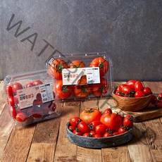 스테비아 하루토망고 방울토마토 꿀마토 1kgX2팩 당일수확 산지직송, 상세페이지 참조