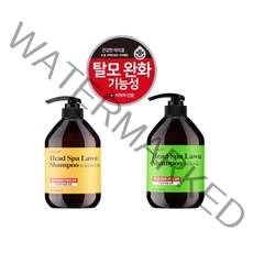 맥주효모샴푸 카페인샴푸 탈모 완화 샴푸 건조한 두피 보습 기능성 500g, 잔디샴푸 지성용