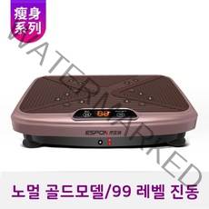 음파진동기 운동기구덜덜이효과 파워플레이트운동 중력가속운동기구 쉐이크보드 음파운동기 운동기구덜덜이 덜덜이 덜덜이효과 진동운동기효과, 노멀골드/마그네틱 지압 마사지/99레벨 진동