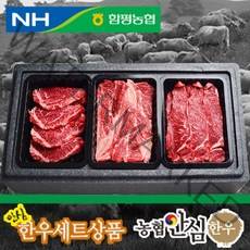 함평농협 농협안심한우 1등급 암소한우 선물세트, 1호 등심+안심+채끝, 1세트