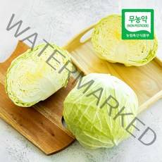 삼시세끼연구소 무농약 친환경 양배추 샐러드 재료 500g 1kg, 친환경 양배추 1kg(내외)