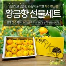 산지에서바로 당도선별 제주 황금향 로얄과 가정용 선물용 2KG 3KG 5KG, 황금향 선물용 2키로 5-10과