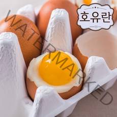 [호유란] 짜지않고 촉촉한 반숙계란 반숙란, 1500g, 30개입