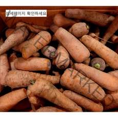 [푸드팜] 국산 바로 갈아먹는 못난이 당근, 못난이 당근 3kg x 1box