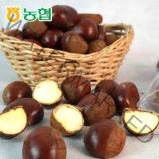 [농협] 속이 꽉찬 순창 햇 알밤(특품) 1kg / 꿀밤 맛밤 공주밤 정안밤 옥광밤