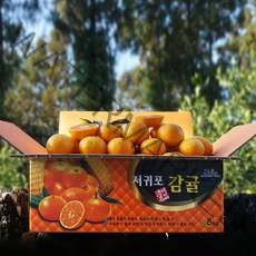 귤담원 제주 제철 감귤, 1박스, 06.감귤 5kg 소과(2S)
